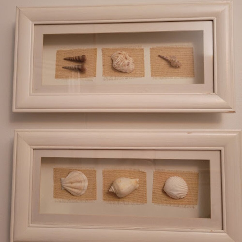Sea Shell Shadow Boxes